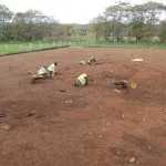 Archaeology | Heritage Consultancy | Desktop Assessment, Programme of Works & Site Evaluations | Archaeological Excavations & Post Excavation Analysis | Community Excavations | Northern Ireland | Northern Archaeological Consultancy